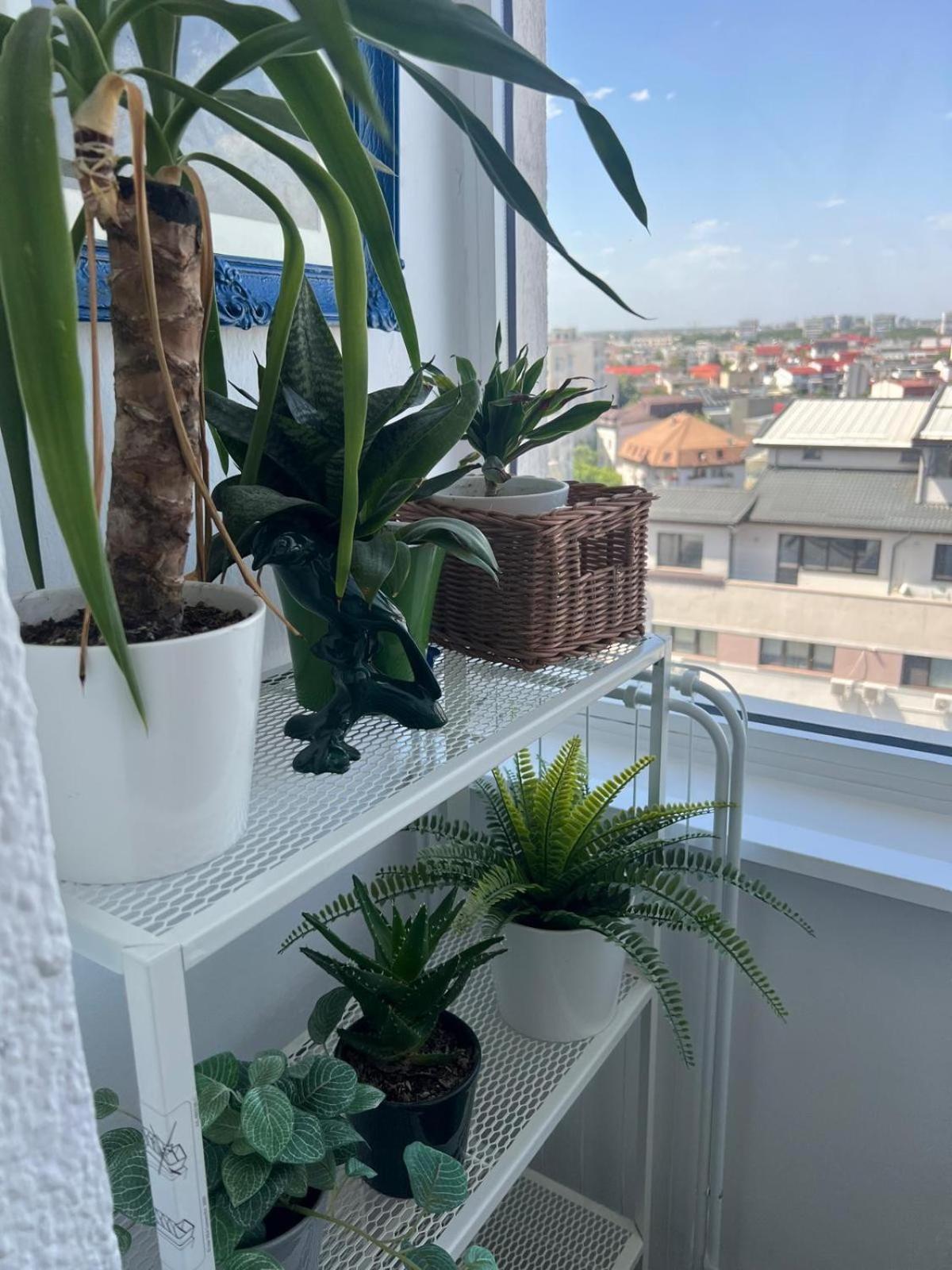 1Bdr Apartment Perla 225 Boekarest Buitenkant foto